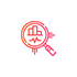 数据报表